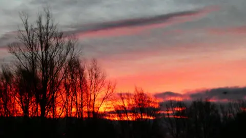 CORKY/WEATHERWATCHERS Trees and woodland are lit-up by a fire-orange sunrise in Milton Keynes. Slight clouding also fills the sky.