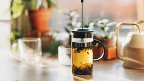 Green tea with fresh mint leaves brewed in a French press on a white table by the window.