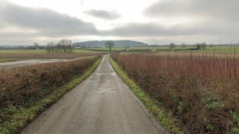 Road near village of Burnett with hedges either side and trees in the distance