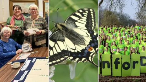 A composite of three images side-by-side; on the left, a group of older women, in the centre a yellow butterfly with black and blue markings, on the right a group of runners in bright green tops.