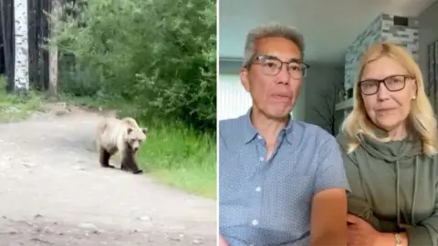 On the left, you have a grizzly bear and on the right, you have a couple.