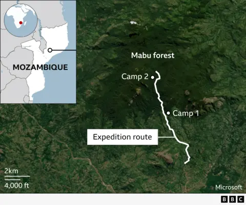 Mapa de ubicación del bosque de Mabu