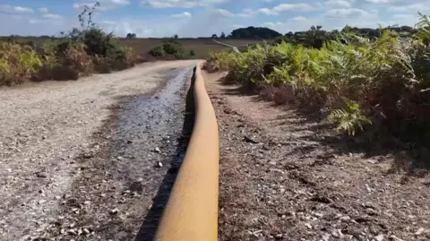 A large hose going through the new Forest