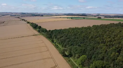 A landscape shot from above on a sunny day, a patchwork of fields and woodland. 