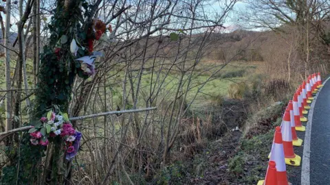 Road side where the car crashed, with flowers on a tree, and a line of cones on the road edge
