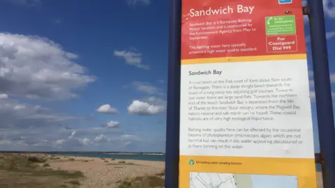 An information board about Sandwich Bay stands beside a shingle beach under a blue sky with scattered clouds. The sign explains the beach's bathing water status and location, with the coastline, sea and distant shoreline visible in the background.