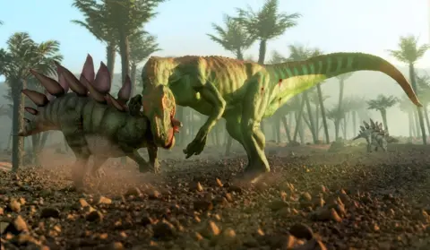 Mark Garlick/Science Photo Library A recreation of an Allosaurus attacking a Stegosaurus