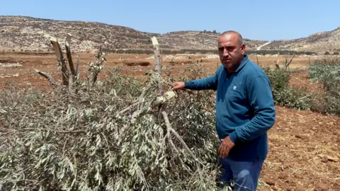 Fred Scott, BBC Brahim Hamaiel stands next to a cut down olive tree in the West Bank. He wears a blue shirt and jeans in a dry field with mountains on the horizon.