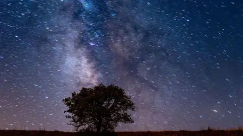 Getty Images A view shows the Milky Way galaxy shining brightly above a lone tree in a field, captured with long-exposure photography in Ankara, Turkiye, on August 23, 2025. (Photo by Ercin Erturk/Anadolu via Getty Images)