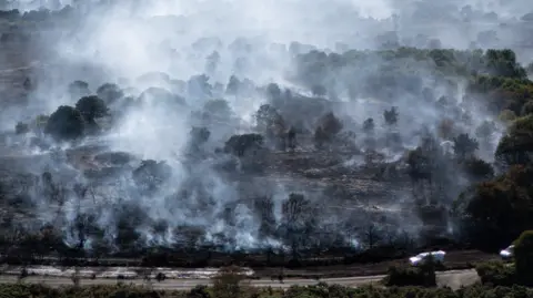 PA Media An aerial view of a heathland and woodland which is on fire. It has left the ground and trees charred and smoke is filling the air. In the background there are several trees not affected by the blaze.