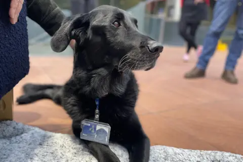 Major wearing his BBC Scotland pass which has his photo and name on it.