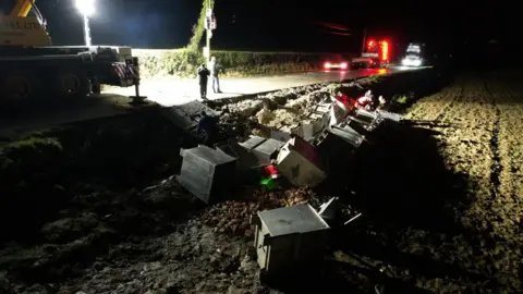 McLaughlin's Light and Heavy Recovery Services A wide shot of the recovery scene. It is dark outside. Large containers are toppled into the field as workers stand around trying to save the crustaceans.