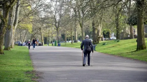 LDRS A man with two sticks walks along a grove in a green park