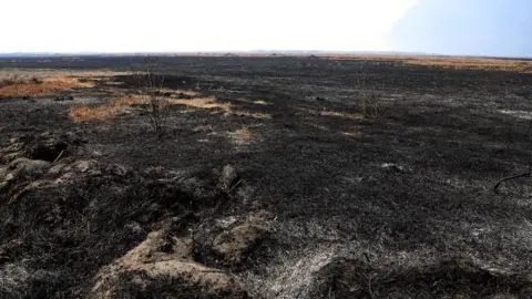 Indonesia's National Disaster Management Agency (BNPB) Wide expanses of Mount Bromo National Park completely blackened