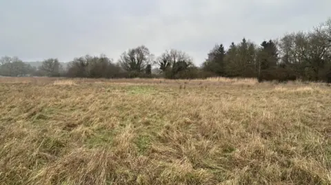 Kate Bradbrook/BBC A grassy field bordered by trees on a dull January day.