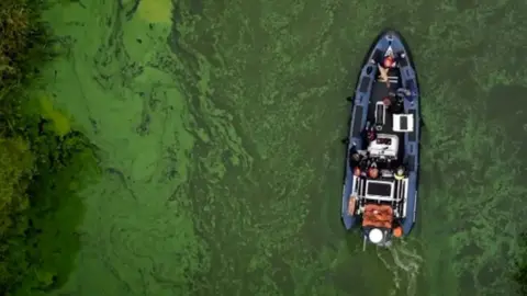 An aerial shot of a blue dingy-style boat on the green waters of Lough Neagh, visible algal blooms on water surface