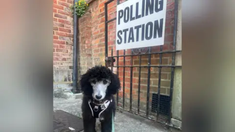 Clodagh Stenson A dog on a leash at a polling station.