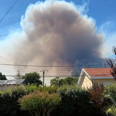 Pierre Alexandre A huge cloud of smoke can be seen in the bright blue skies about a skyline of small houses, with a number of green bushes visible in the foreground