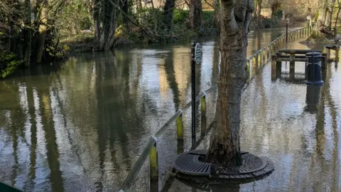 WeatherWatchers/lizzy A flooded river with water above the level of the pavement. Trees, bins and outdoor benches can be seen reflected in the water.