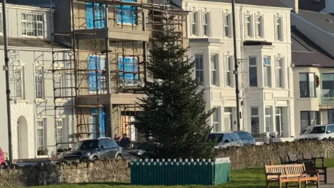 George Beattie A real Christmas tree is placed in a large, green box near the coast line in Portrush. The picture is taken during the day and it is not known whether there are decorations on it. A number of cars are parked on the street beside the tree.