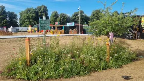 Wild Design Studio A collection of grasses and wildflowers, and a tree, forming the Life on the Verge exhibit. The garden also contains two brown posts with red reflectors on top and a green "traffic calmed area" sign.