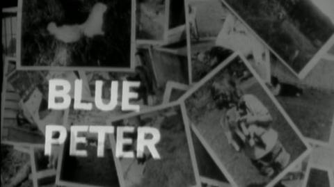 The 'Blue Peter' title over photos of viewer's pets.