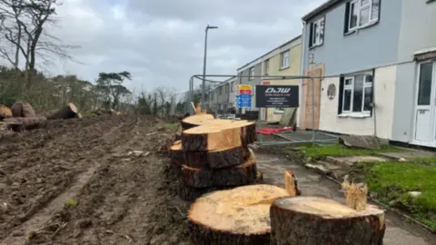 Tree stumps and shavings outside a row of houses.