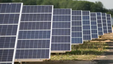 A close up image of solar panels in a field. Nine rows of solar panels are visible with trees in the background.