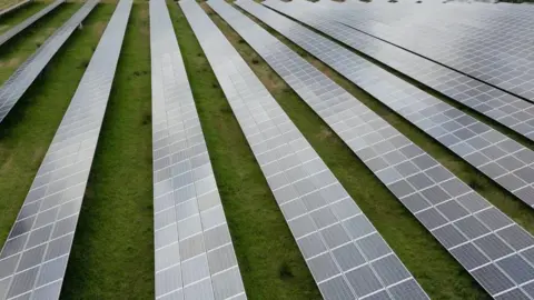 BBC A large rural field filled with rows of solar panels