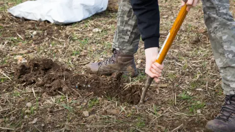 A man digging a hole in which to plant a tree