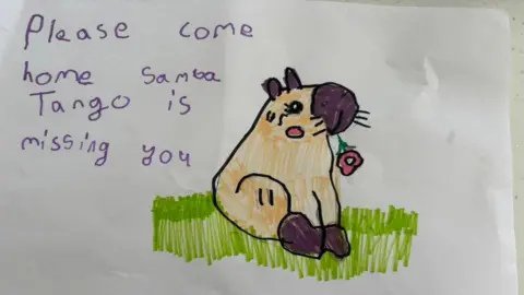 Sammy Hooper A child's drawing of a capybara with the words "Please come home Samba. Tango is missing you."