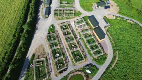 An aerial view of the otter rehab centre shows rectangle pens made of wood and surrounded by netting.