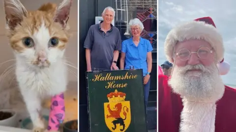 Three side-by-side images; a ginger and white kitten with a bandage around her leg. In the middle, an older man and woman stand with a large painted sign with a coat of arms and Hallamshire House written across it. On the right, a man dressed as Father Christmas with a white beard, glasses and a red suit with a white fur trim.