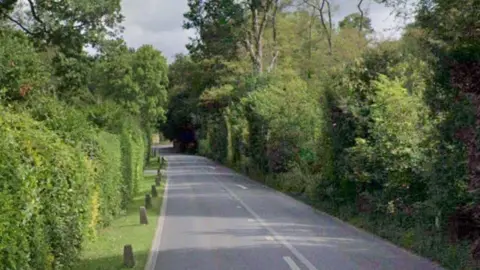 Google Street View of the A340 road - a two way road with bushes either side