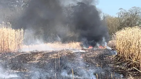 Devon and Somerset Fire and Rescue Service Black smoke is seen billowing from a large patch of crops, most of which have been completely burnt in the fire.