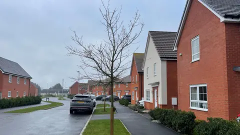 Edd Smith/BBC Jessup Road in Watton. The road is a new-build residential area with houses on either side of the road. On a patch of grass is a tree.