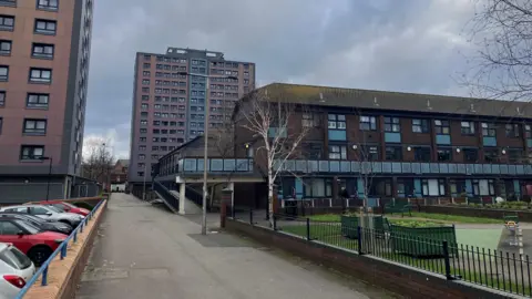 Photograph of homes on the Mottram Street estate in Stockport. The housing is a three-storey brown brick building with a balcony running around the second storey which you can access via a ramp. At the front there is a green area with children's play equipment and planters. 