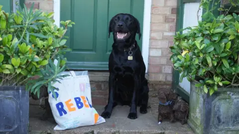 Jamie Niblock/BBC Rebel