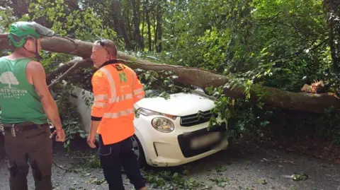 Grace Brown A large fallen tree lies across the roof and bonnet of a small white car on a leafy road, while two workers stand beside it assessing the damage.