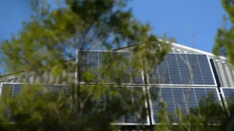 A generic image of solar panels on a roof, slightly obscured by a tree branch.