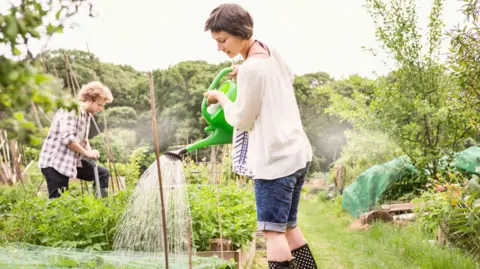 A woman watering plants on an allotment. She is wearing blue denim shorts, a light-coloured top and wellies. There is a man in the background wearing a check shirt, digging.