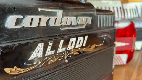 Close up picture of an accordion with the name Allodi in white letters embellished with gems