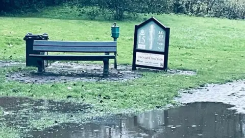 A flooded area of grass with a bench, a bin and a golf course sign. There are bushes in the distance.