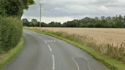 Google Maps A road flanked by fields and fauna