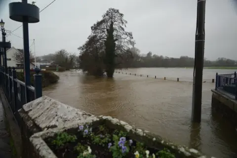 Floodwater covers a riverside area on a grey, overcast day. Muddy water has risen over pathways and grassland, submerging posts and surrounding a large tree in the center of the scene. Buildings and railings line the left side, while a planter with small flowers is visible in the foreground.