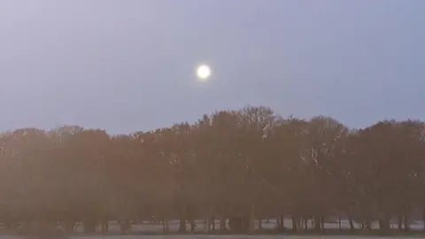 gillybean/WEATHERWATCHERS Moon visible above the trees against a light violet sky. 