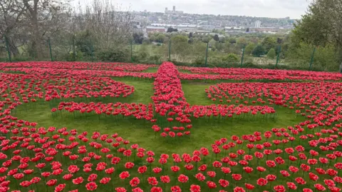 Ceramic poppies in a field show the shape of a bomber with Lincoln cathedral framed in the background 