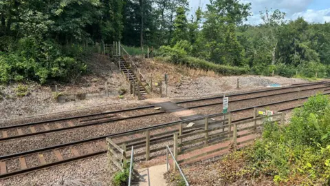 A rail track with fences on either side and steps on both sides leading to a pedestrian crossing. There are trees and bushes on either side of the track.