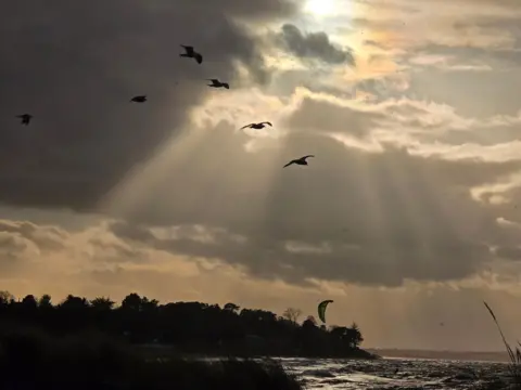 Moira MacKintosh Seagulls glide through the sky above a dark, choppy coastline as rays of sunlight break dramatically through thick clouds.
