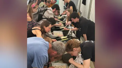 National History Museum Row of people looking for fossils in trays of gravel